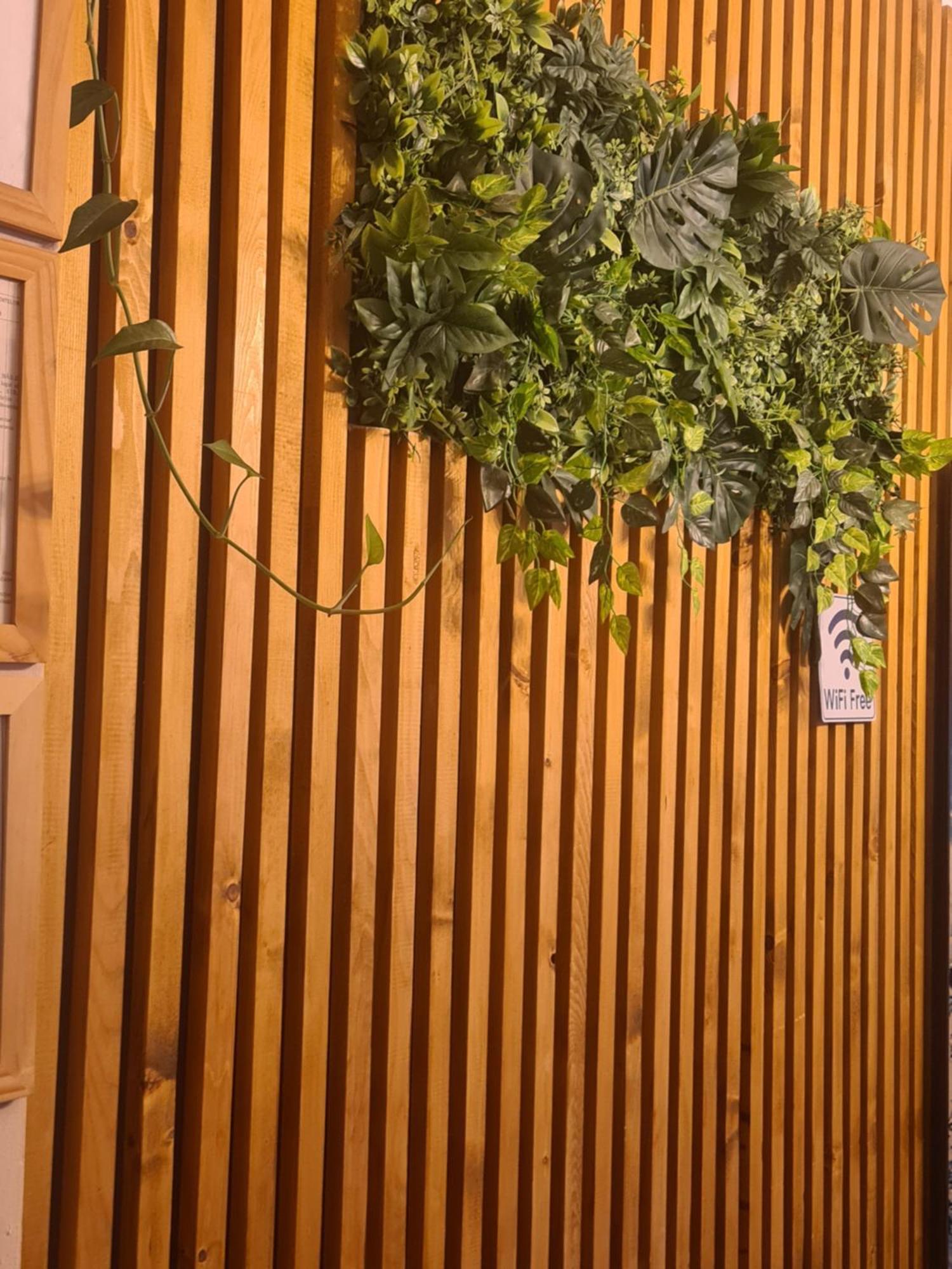Guesthouse Magic Băile Herculane Dış mekan fotoğraf