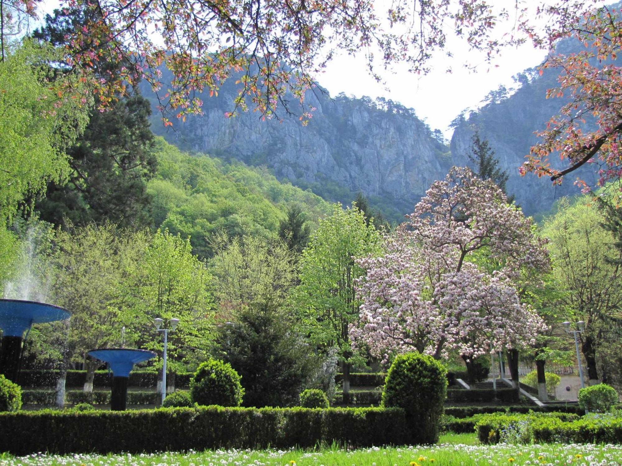 Guesthouse Magic Băile Herculane Dış mekan fotoğraf