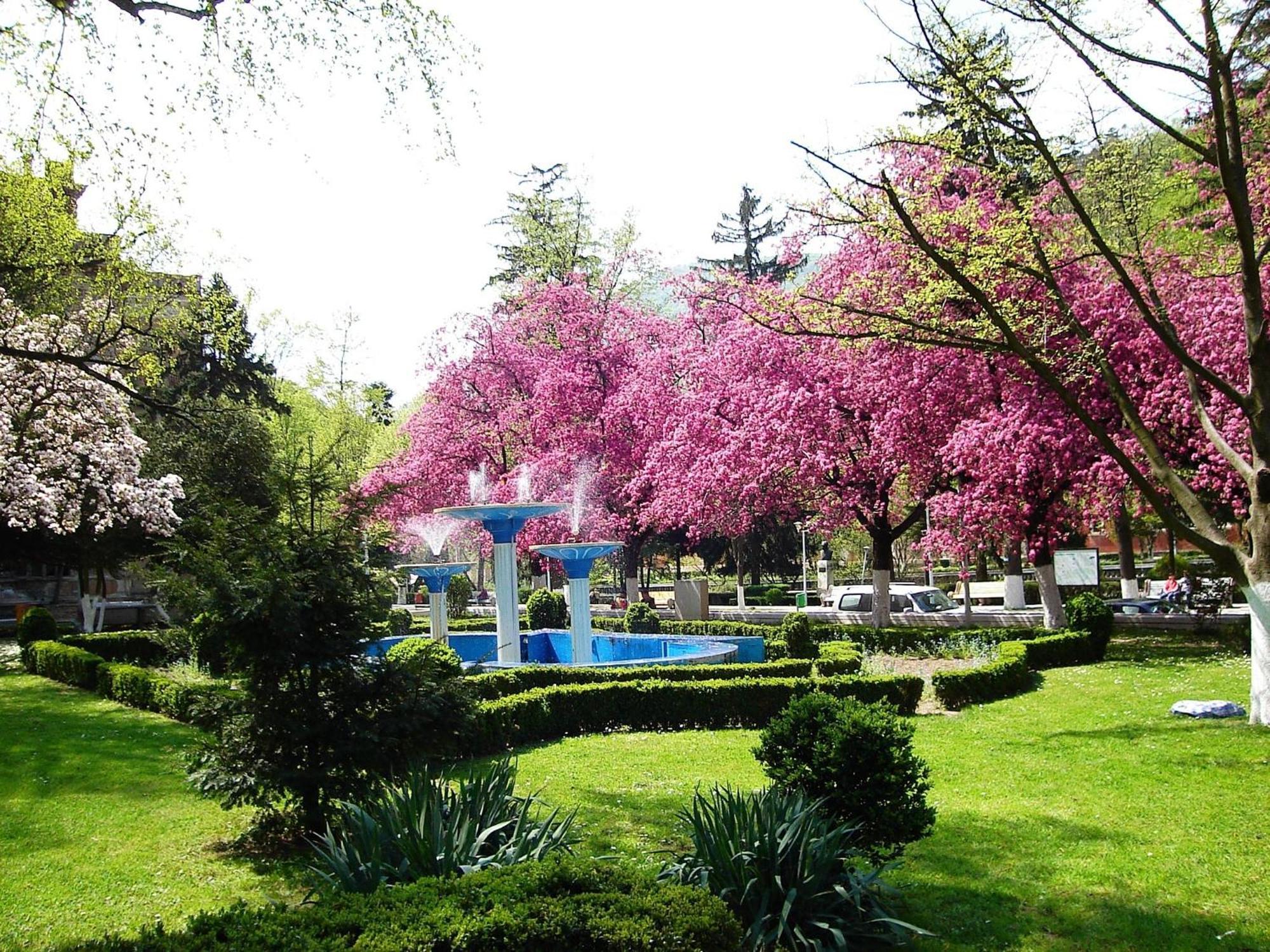 Guesthouse Magic Băile Herculane Dış mekan fotoğraf