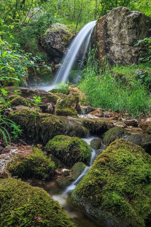 Guesthouse Magic Băile Herculane Dış mekan fotoğraf