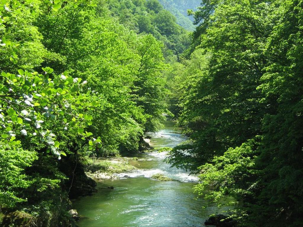 Guesthouse Magic Băile Herculane Dış mekan fotoğraf